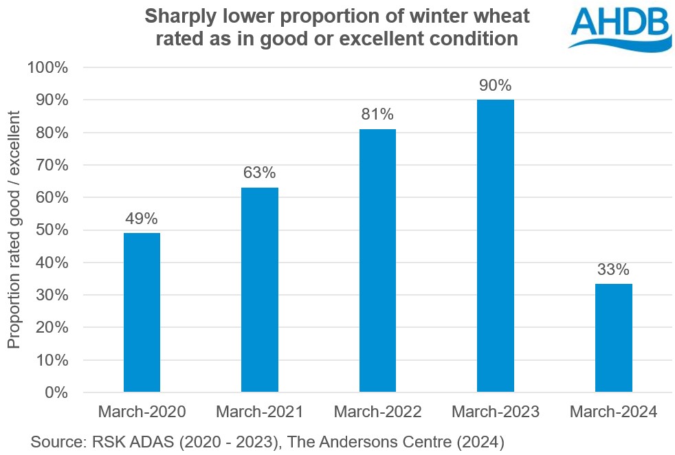 Chart showing proportion of GB winter wheat rated good or excellent in March from 2020 to 2024